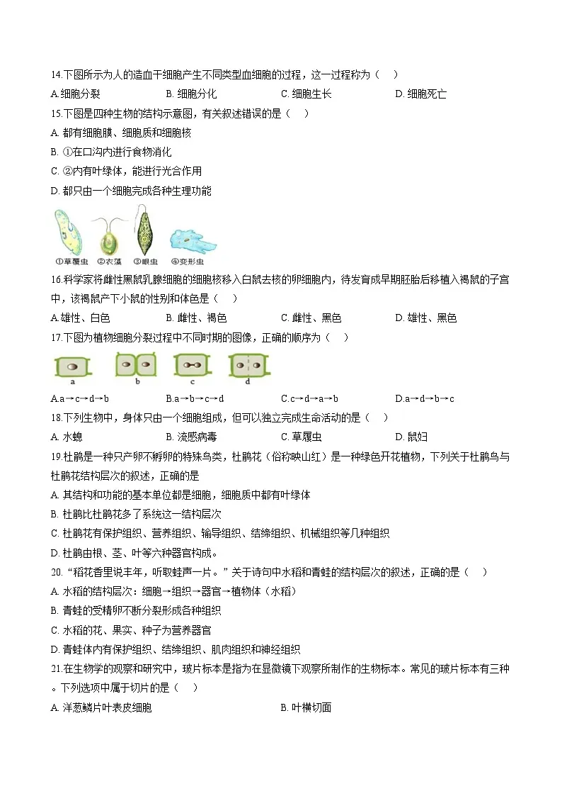江苏省徐州市贾汪区五校联考2025_2026学年七年级上学期第二次限时作业生物试题(文字版含答案)第3页