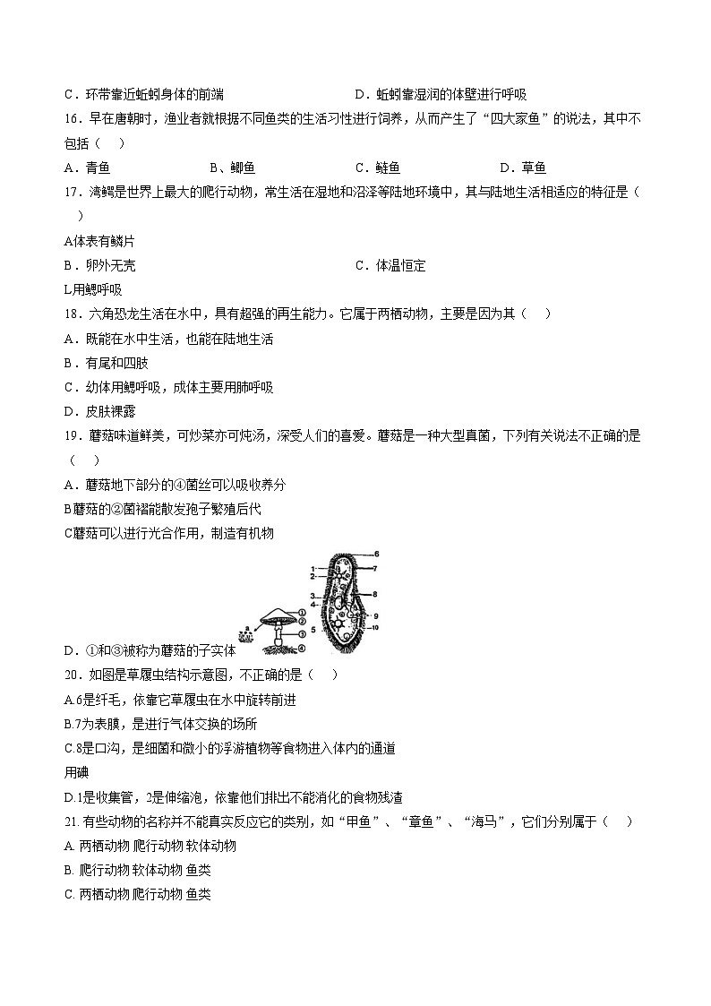 宁夏银川市六中2025_2026学年七年级上学期期末生物试卷闭卷试题（扫描版，含答案）第3页