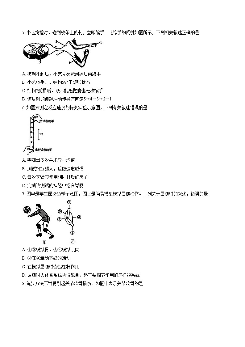 天津市河西区2025__2026学年八年级上学期1月期末生物试题(文字版含答案)第2页