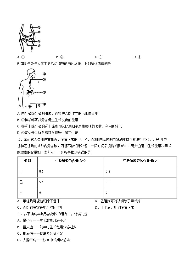 天津市河西区2025__2026学年八年级上学期1月期末生物试题(文字版含答案)第3页