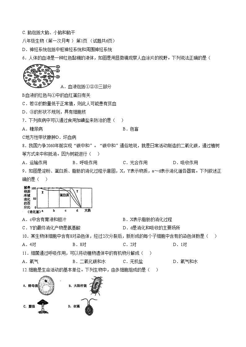 广东省揭阳市揭东区2025_2026学年八年级上学期第一次月考生物学试题(文字版含答案)第2页