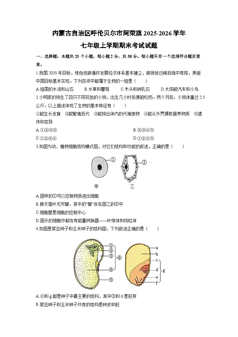 2025-2026学年内蒙古自治区呼伦贝尔市阿荣旗七年级上学期期末考试生物试卷（学生版）第1页