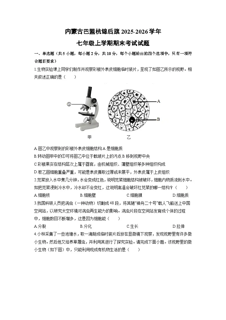2025-2026学年内蒙古巴盟杭锦后旗七年级上学期期末考试生物试卷（学生版）第1页