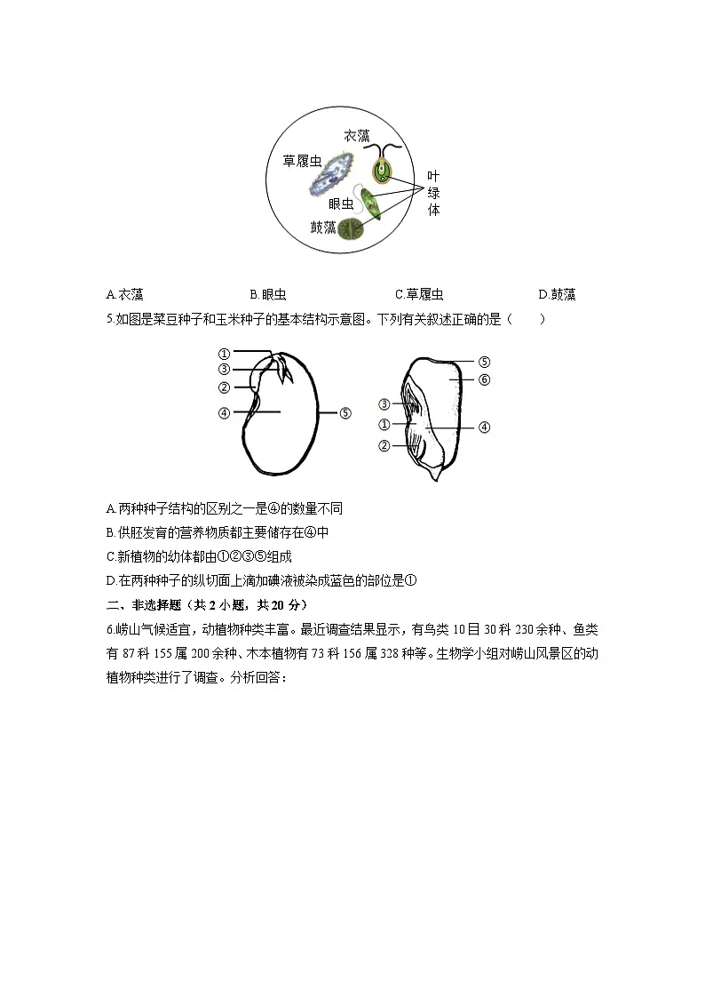 2025-2026学年内蒙古巴盟杭锦后旗七年级上学期期末考试生物试卷（学生版）第2页