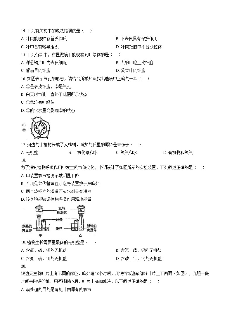 广东省揭阳市揭东区2025_2026学年七年级上学期第二次月考生物学试题(文字版含答案)第3页