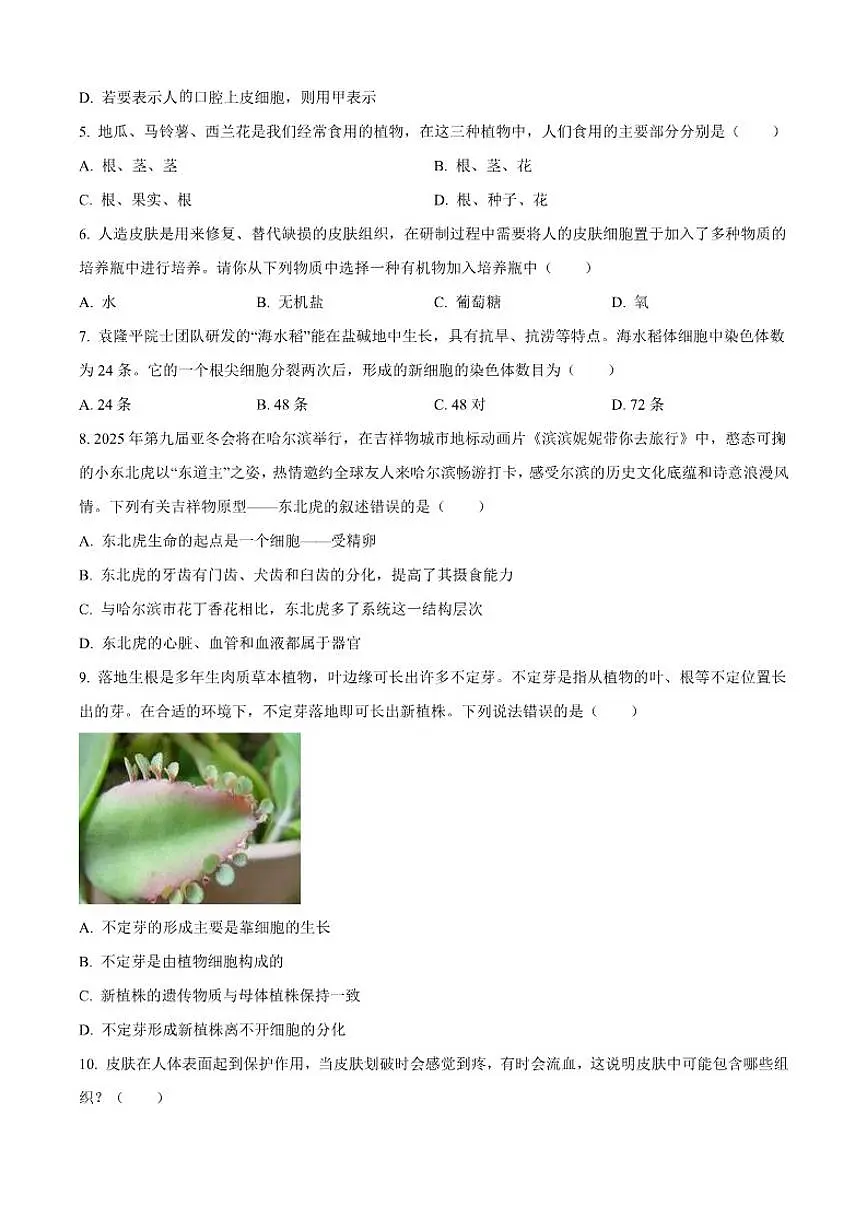 2025-2026学年黑龙江省齐齐哈尔市龙江县七年级上学期期末生物试题（有答案）第2页