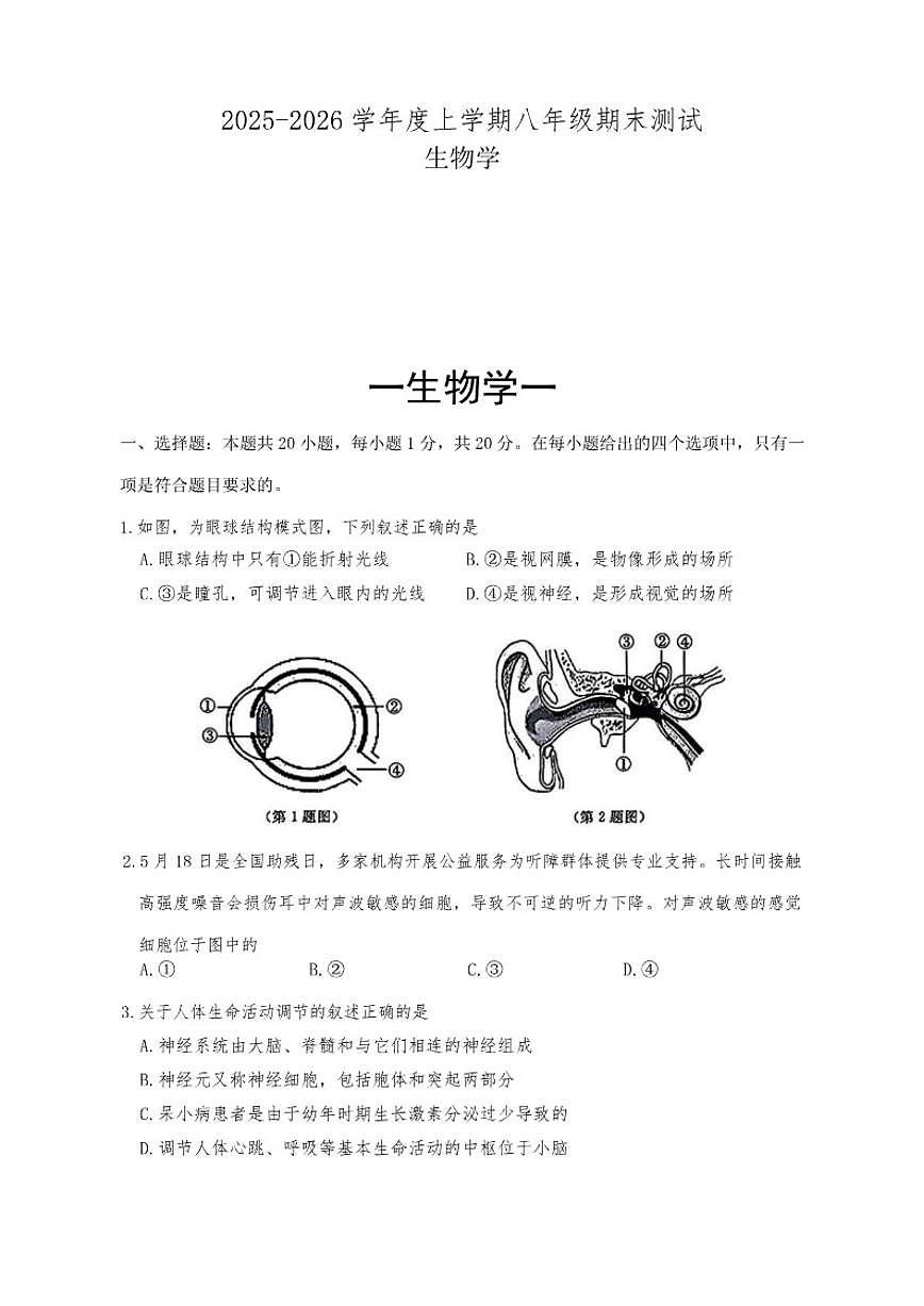 2025-2026学年吉林省长春市绿园区多校联考八年级上学期1月期末生物试题（有答案）第1页
