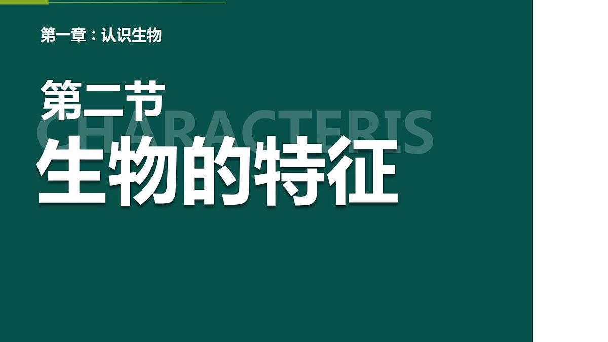 17839588第1页