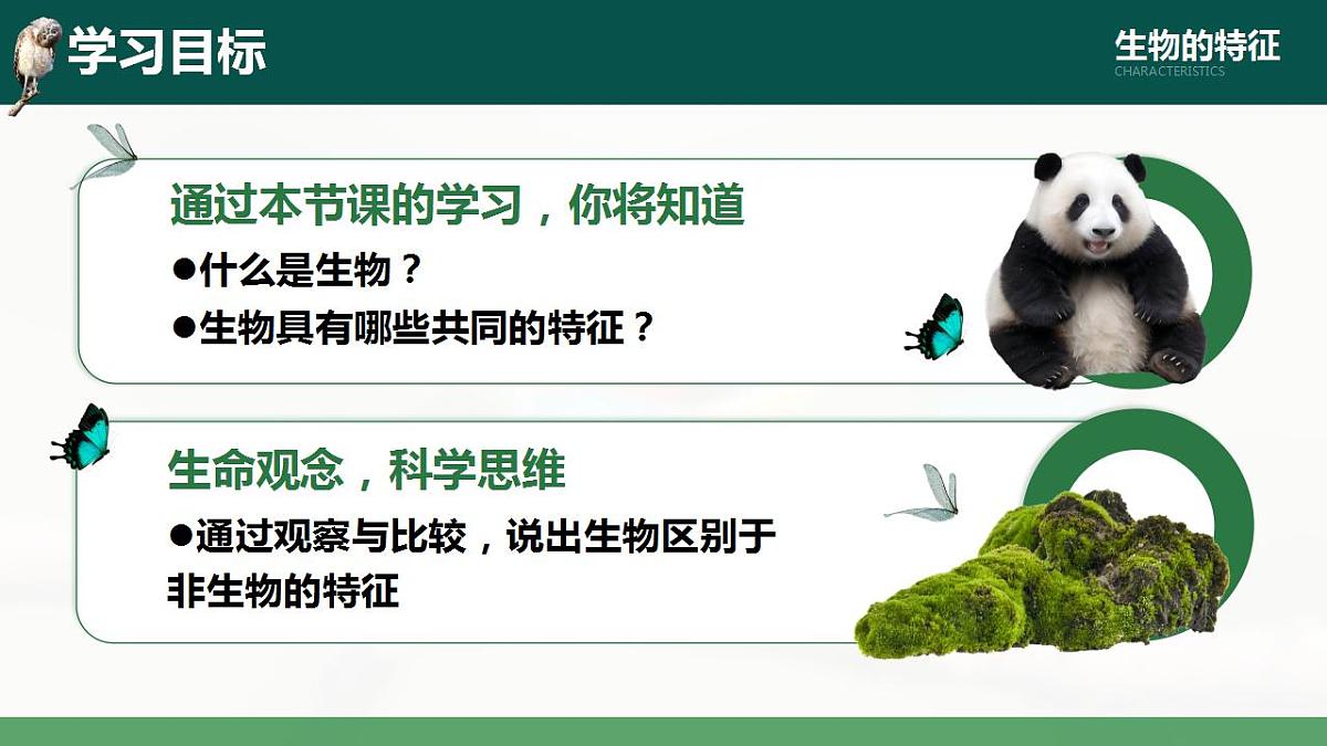 17839588第2页