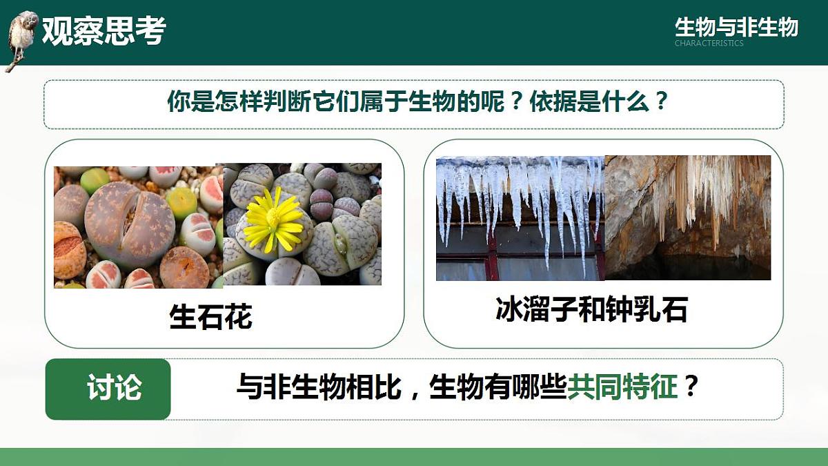17839588第4页