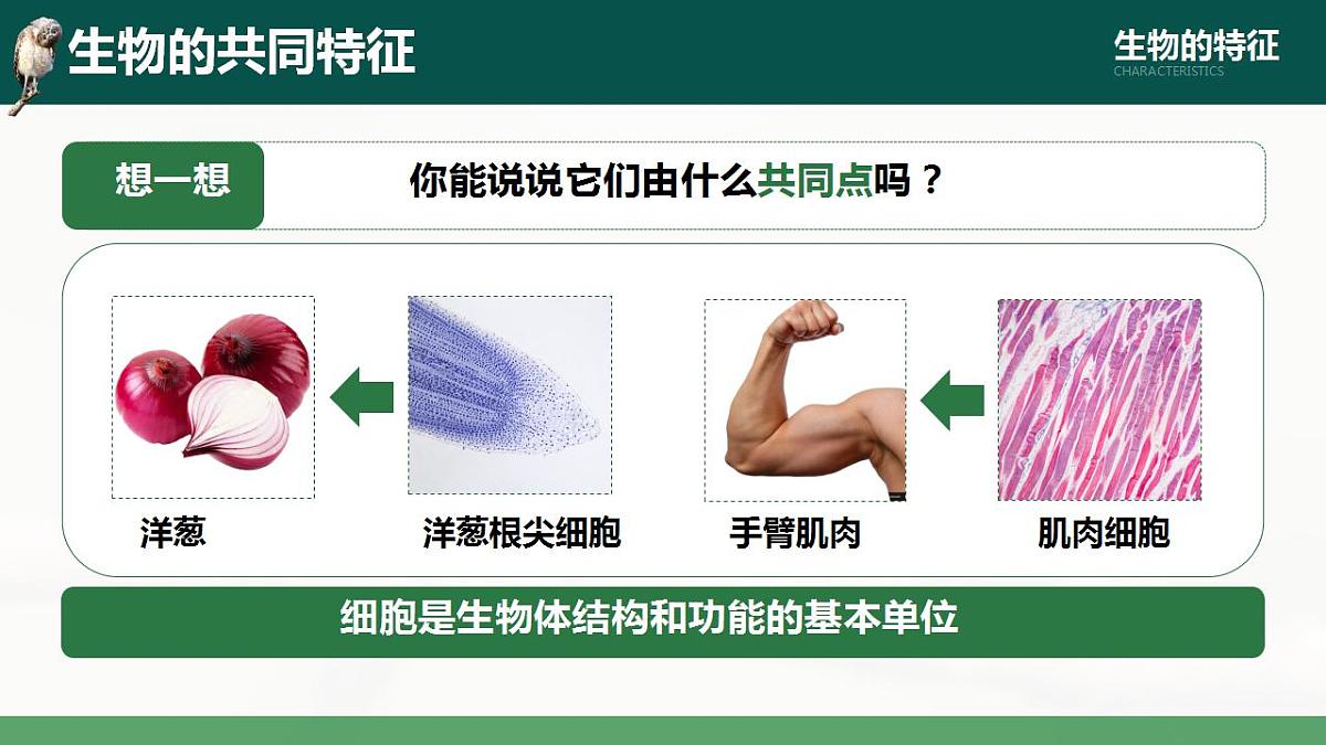 17839588第5页