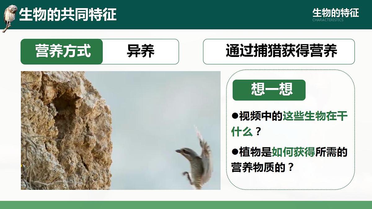 17839588第7页