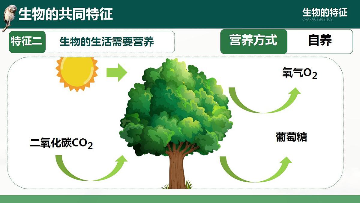 17839588第8页