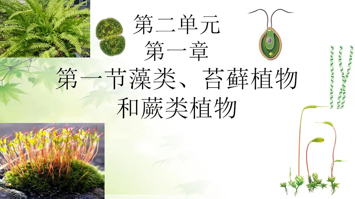 17839601第1页