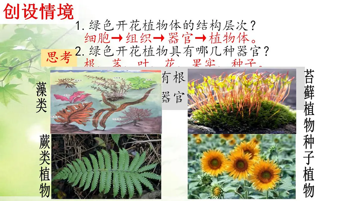 17839601第2页