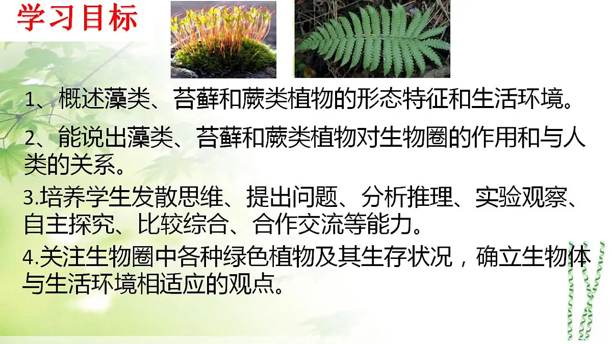 17839601第3页
