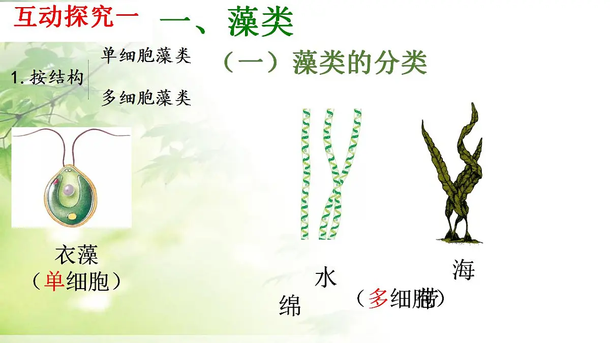 17839601第5页