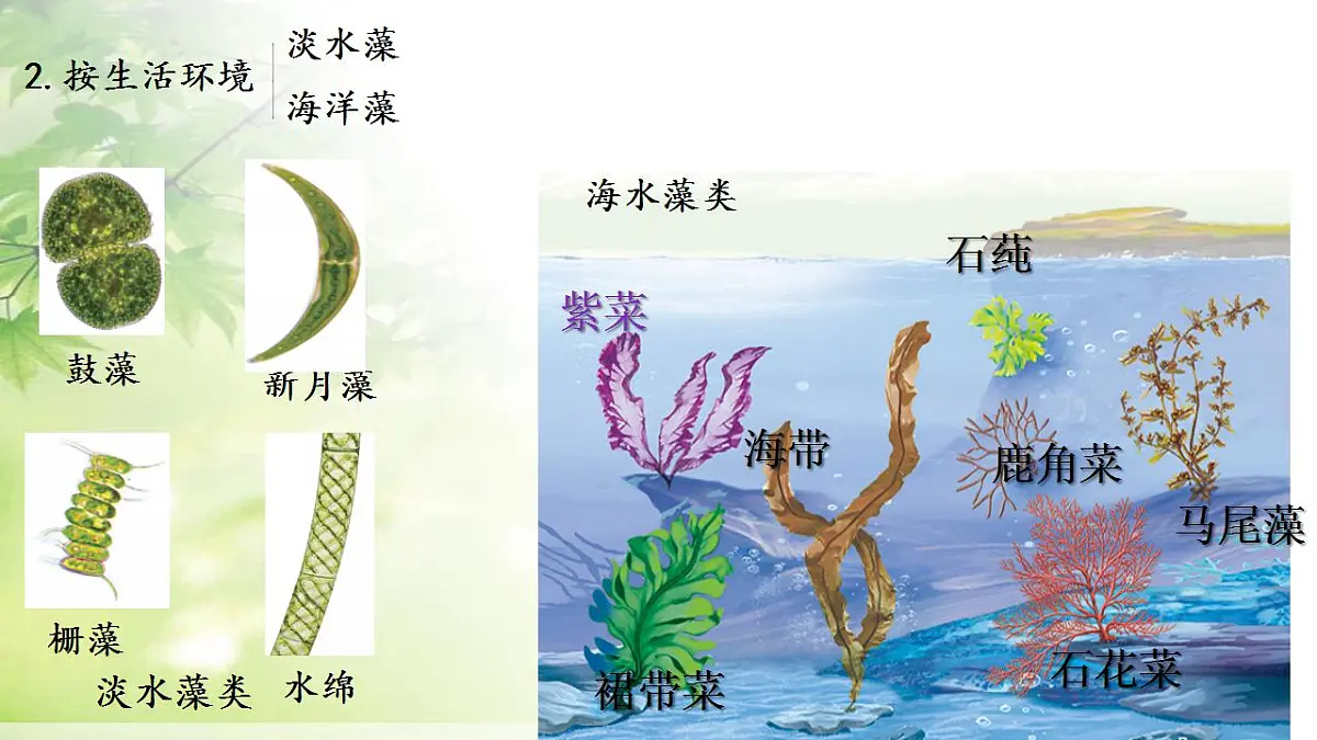 17839601第6页