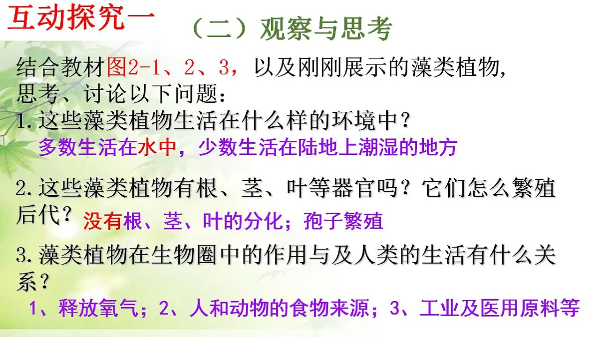 17839601第7页