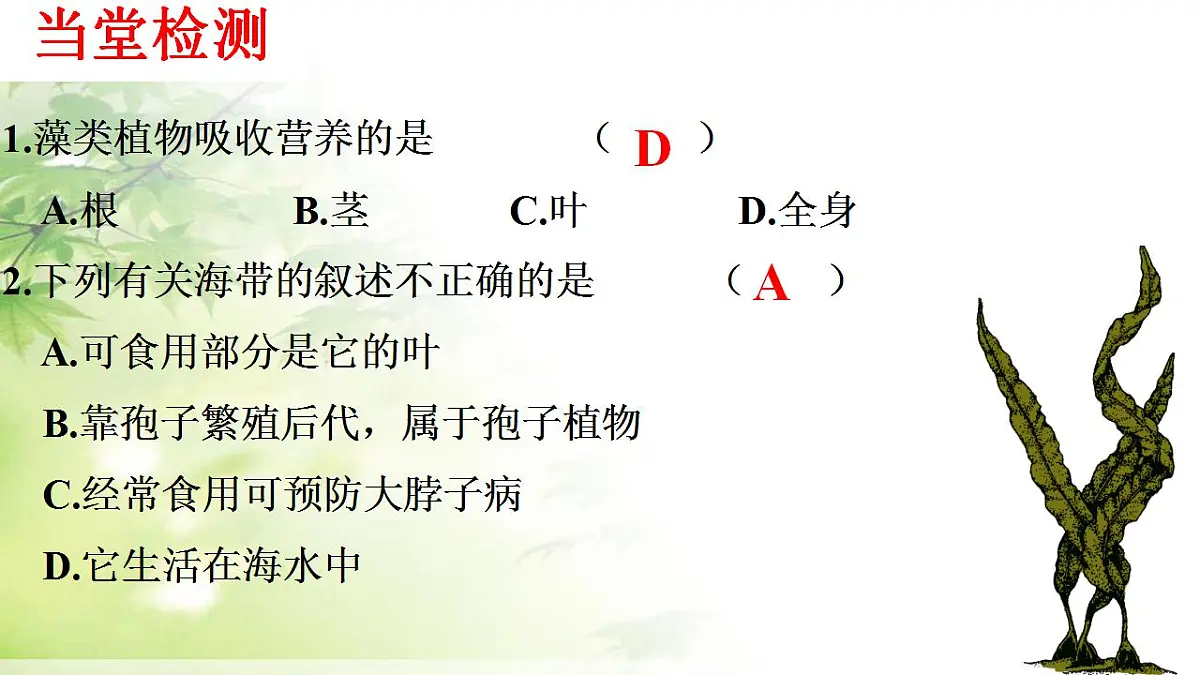 17839601第8页
