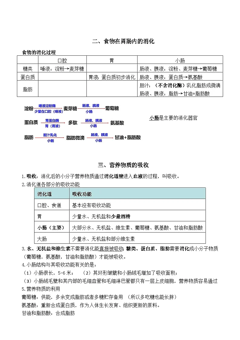冀少版（2024）七年级下册生物期末复习知识点考点背诵提纲 讲义第3页