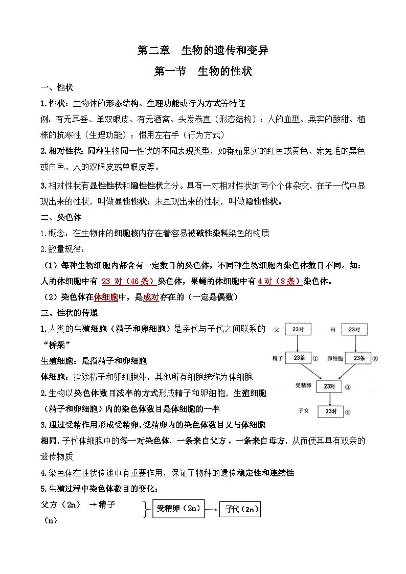 冀少版（2026）八年级下册生物期末复习知识点考点背诵提纲 讲义第3页