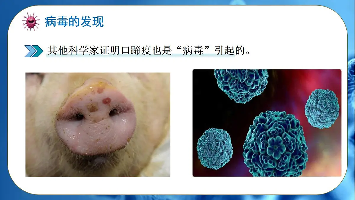 17839757第4页