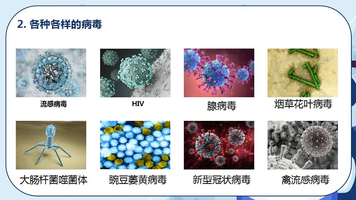 17839757第7页