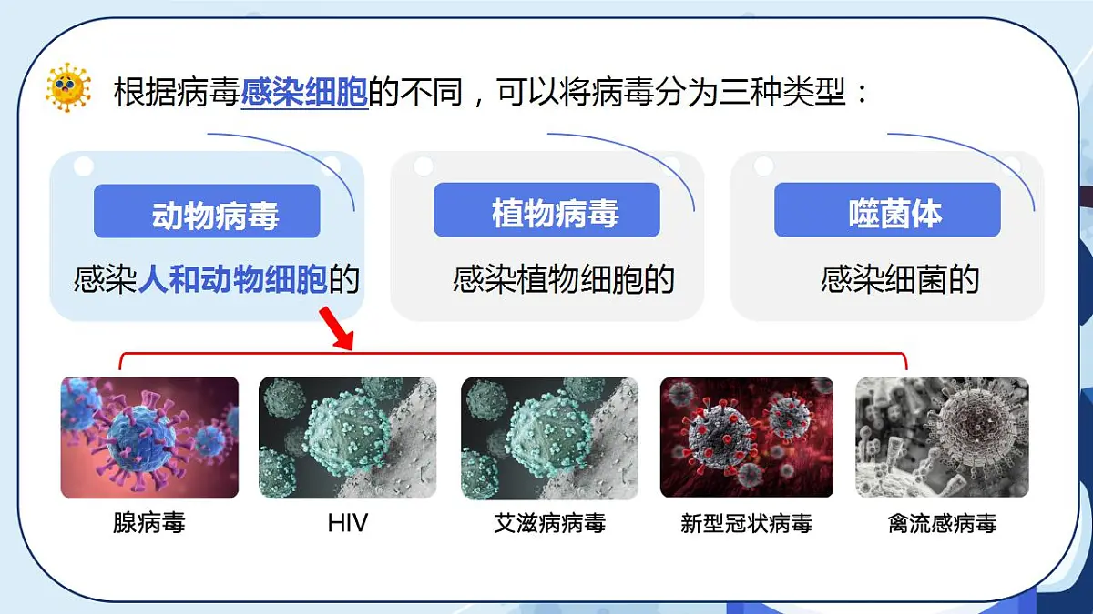 17839757第8页