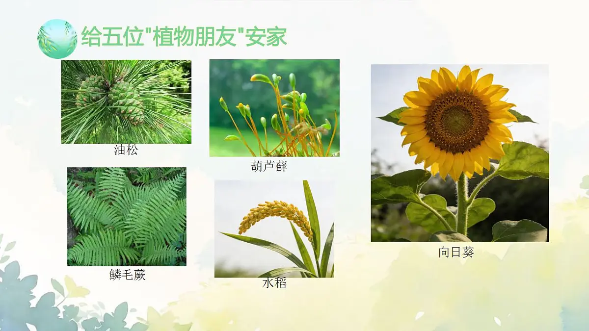 17839767第4页