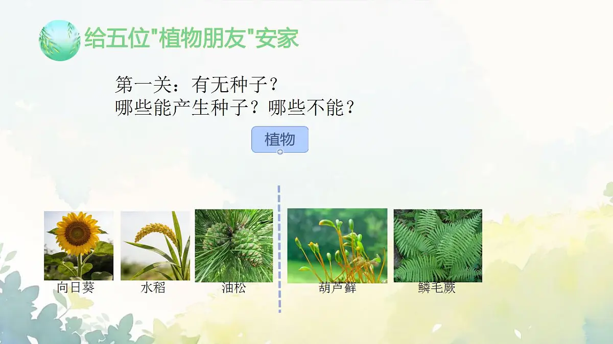 17839767第5页