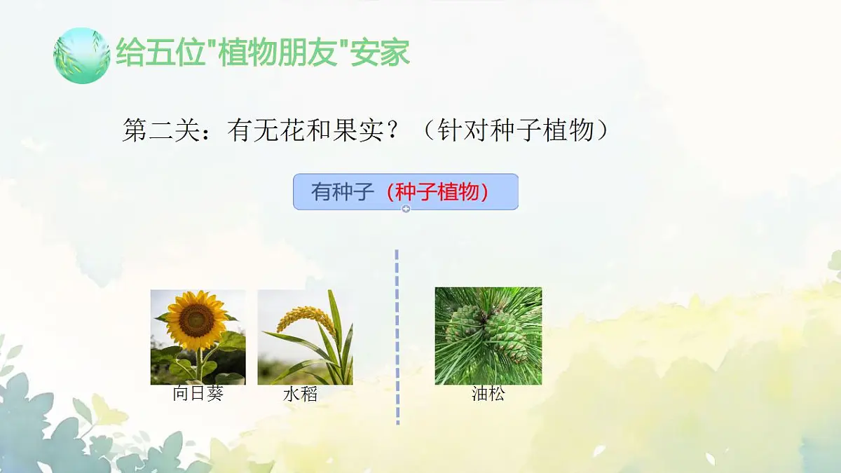 17839767第6页