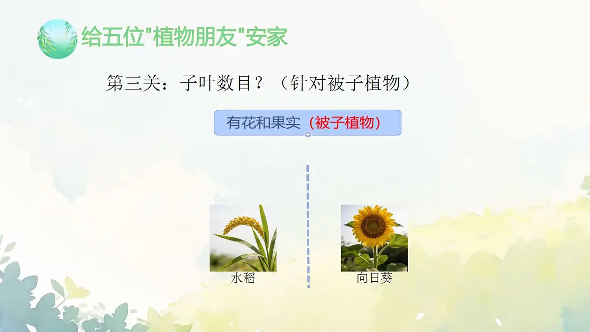 17839767第7页