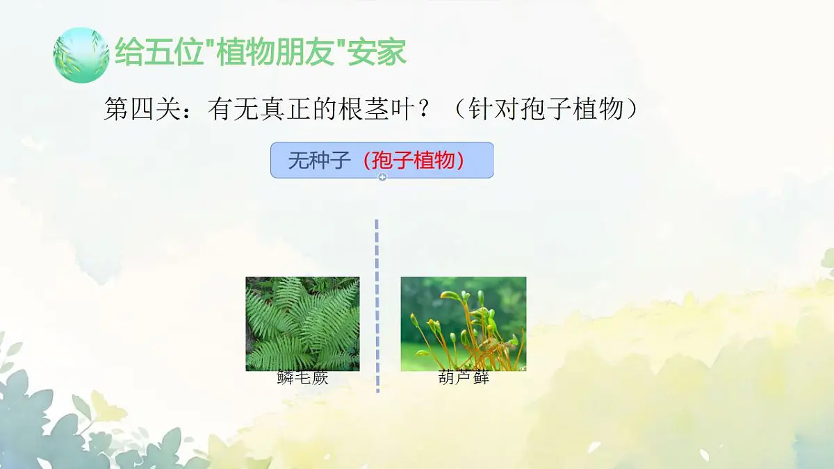 17839767第8页