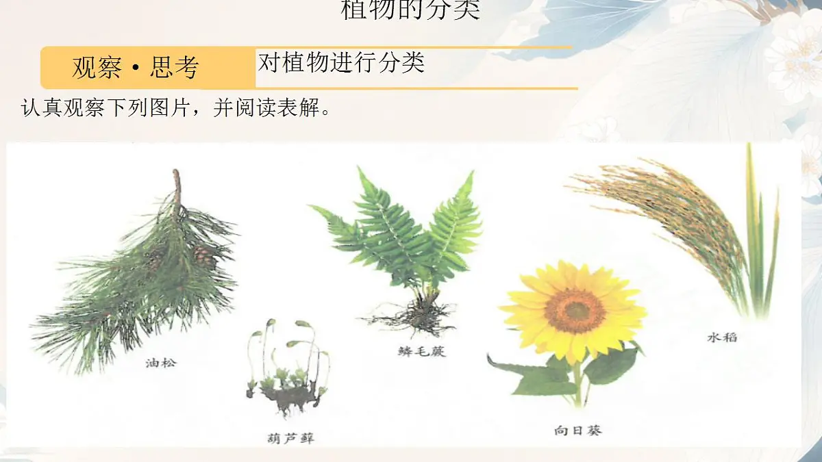 17839768第5页