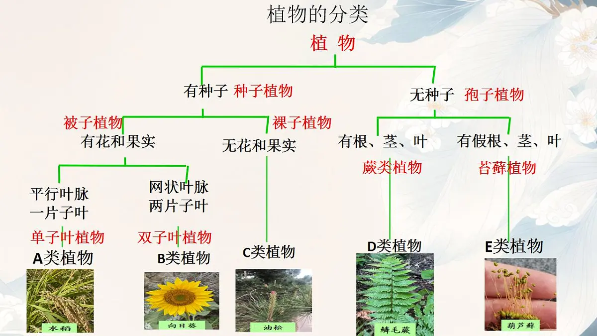 17839768第6页