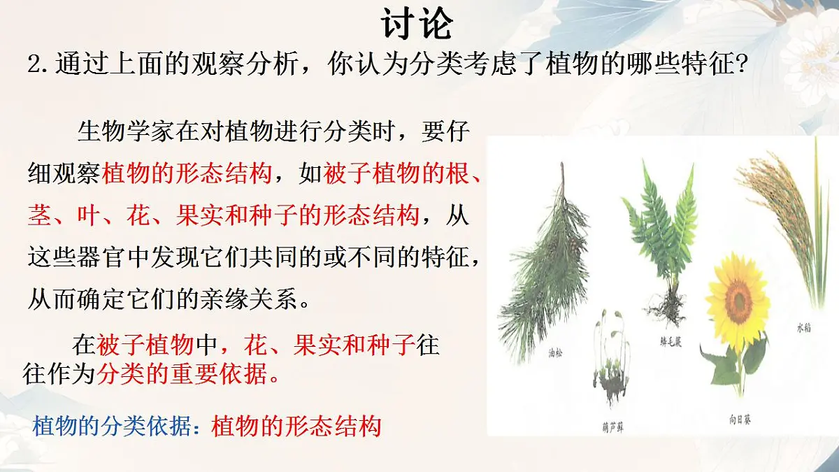 17839768第7页