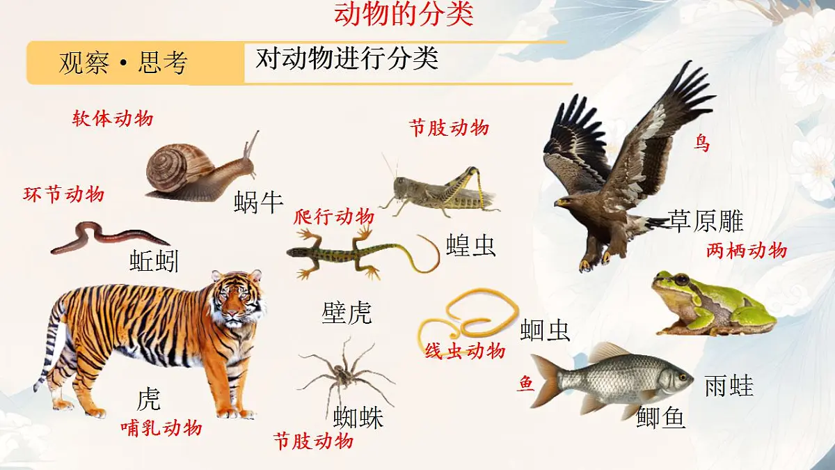 17839768第8页
