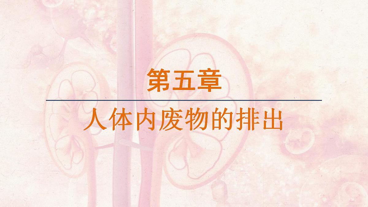 17839844第1页