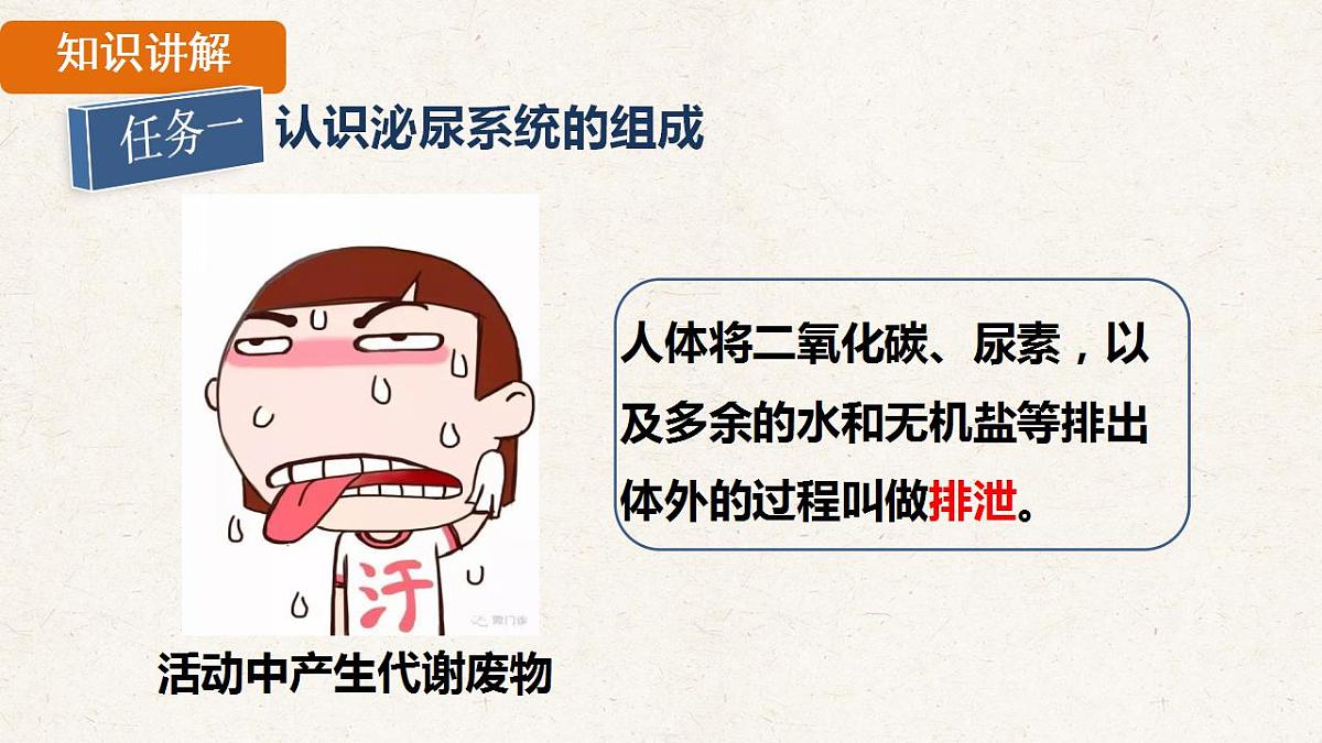 17839844第4页