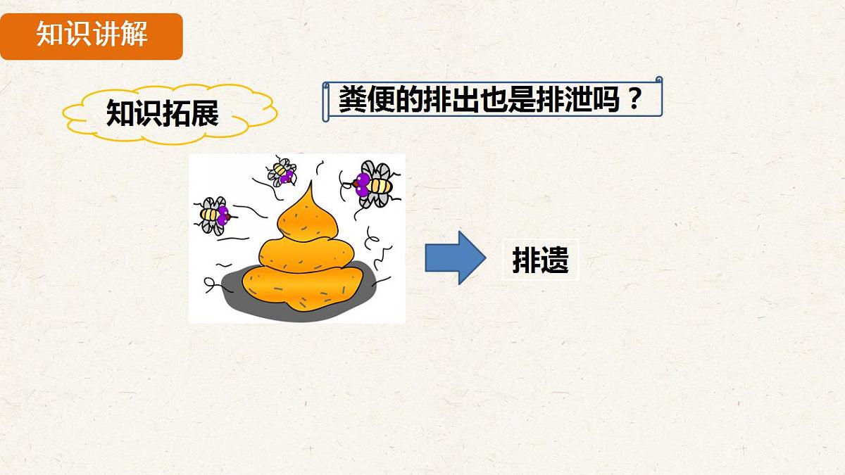 17839844第5页