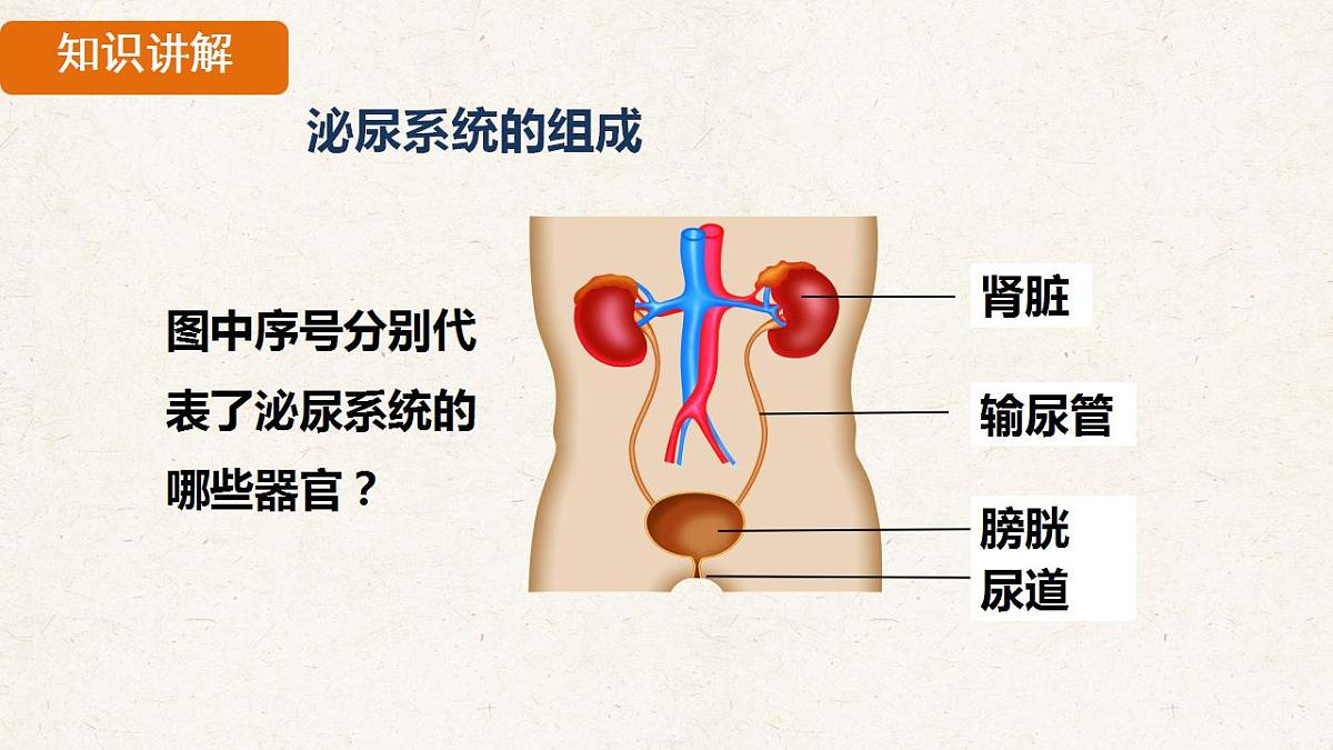 17839844第6页