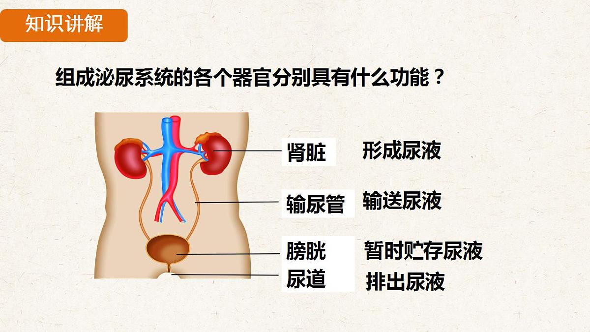 17839844第7页