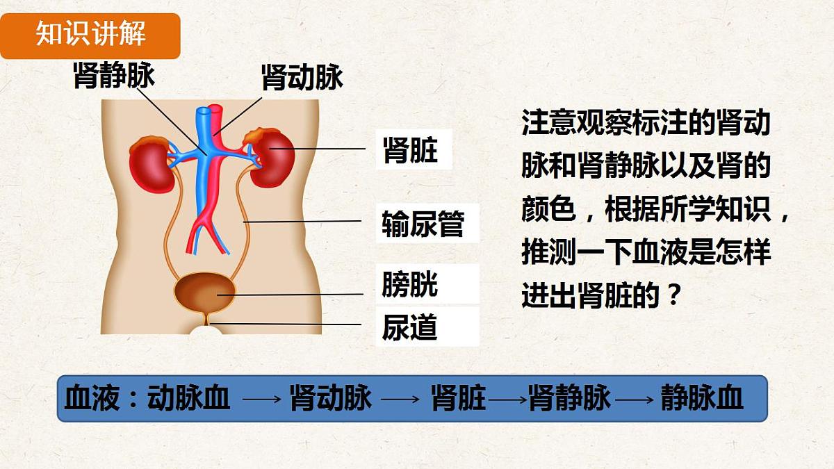 17839844第8页