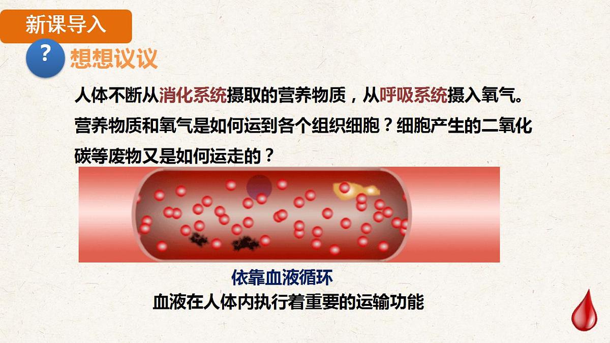 17839845第3页