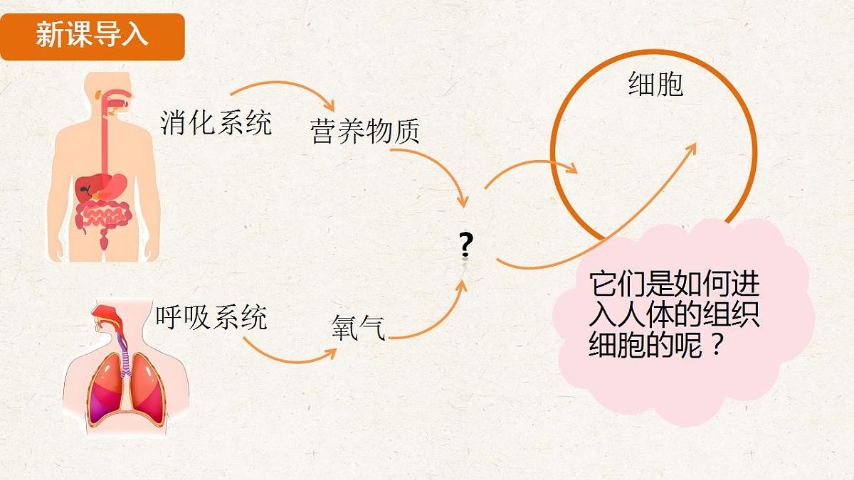 17839845第4页