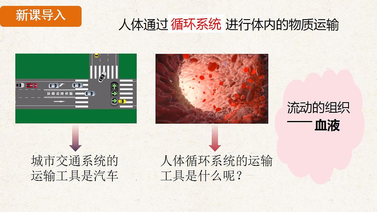 17839845第5页
