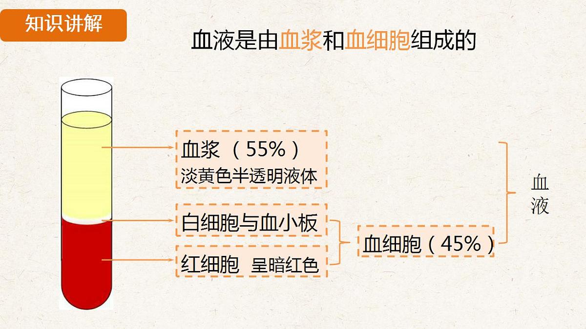17839845第7页