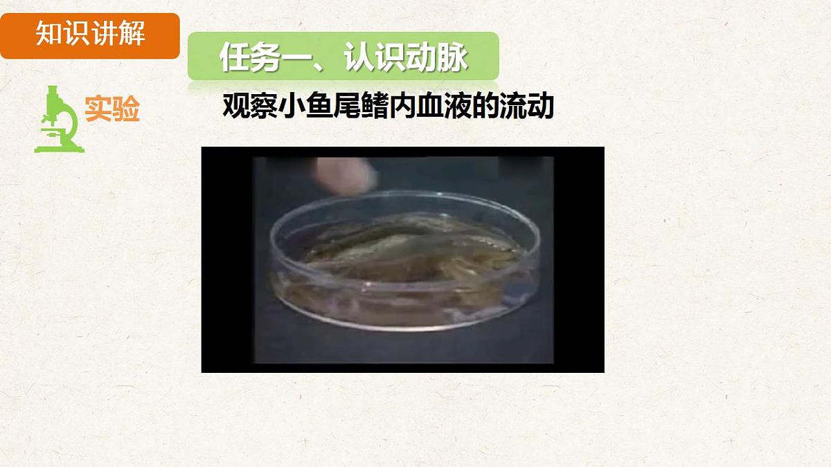17839846第4页