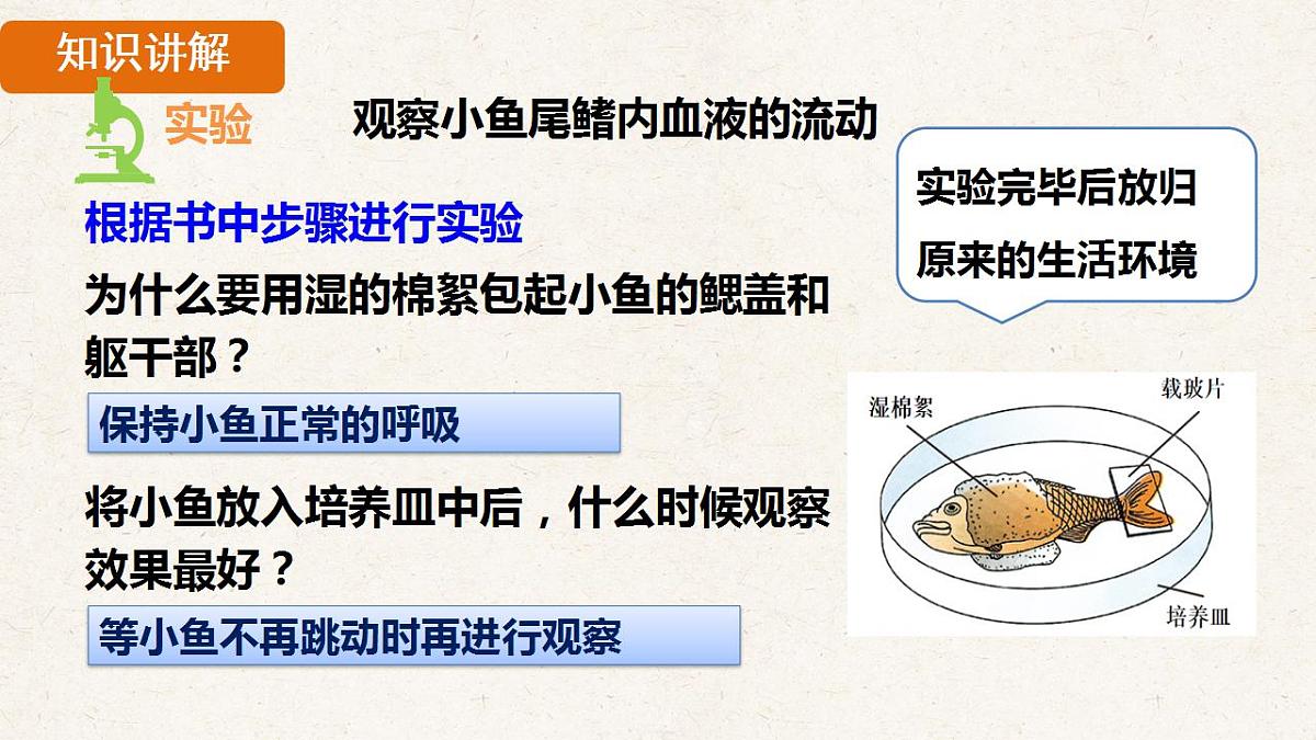 17839846第5页